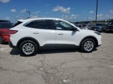 Used 2022 Ford Escape SE image 2