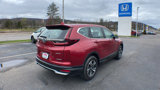Used 2021 Honda CR-V Special Edition image 4