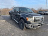 Used 2011 Ford F150 XLT image 3