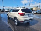 Used 2019 Ford Escape Titanium image 5