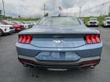 New 2025 Ford Mustang Coupe image 5