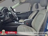 Used 2022 Ford Escape SE w/ SE Sport Appearance Package image 5