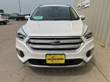 Used 2019 Ford Escape Titanium image 3