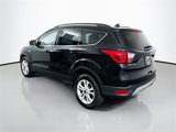 Used 2019 Ford Escape SEL image 5