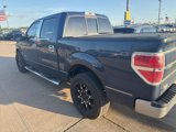 Used 2014 Ford F150 XLT w/ Equipment Group 302A Luxury image 3