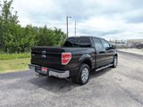Used 2014 Ford F150 XLT w/ Equipment Group 302A Luxury image 6