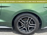Certified 2023 Ford Mustang Coupe w/ Equipment Group 101A image 4