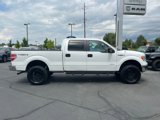 Used 2014 Ford F150 XLT w/ Equipment Group 301A Mid image 4