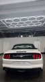 Used 2018 Ford Mustang Premium image 4
