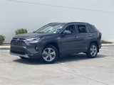 Used 2019 Toyota RAV4 Limited image 2