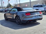 Used 2022 Ford Mustang Premium image 5