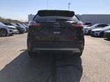 Used 2022 Ford Edge SEL w/ Convenience Package image 5