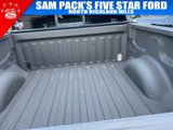 Used 2014 Ford F150 XLT w/ Equipment Group 302A Luxury image 4