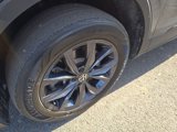 Certified 2022 Volkswagen Tiguan SE w/ Panoramic Sunroof Package image 2