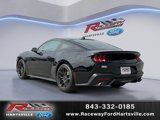 New 2025 Ford Mustang Coupe w/ Mustang Nite Pony Package image 2