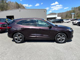 Used 2023 Ford Escape ST-Line w/ Equipment Group 301A image 2