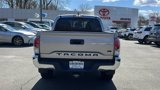 Used 2021 Toyota Tacoma TRD Off-Road w/ Blackout Package (TMS) image 5