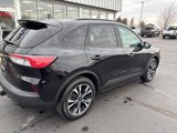Used 2021 Ford Escape SEL w/ SEL Stealth AWD Package image 3