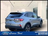 Certified 2022 Ford Escape SE w/ SE Sport Appearance Package image 3
