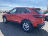 New 2024 Ford Escape Active w/ Tech Pack #2 image 3
