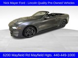 Used 2019 Ford Mustang Premium image 2