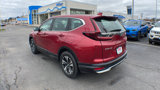 Used 2021 Honda CR-V Special Edition image 5