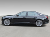 Used 2021 Cadillac CT5 Premium Luxury image 3