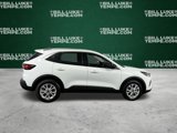 Used 2023 Ford Escape Active image 2