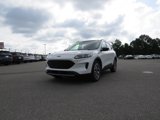 Used 2020 Ford Escape SE Sport image 6