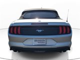 Used 2019 Ford Mustang Premium image 4