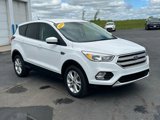 Used 2019 Ford Escape SE image 3