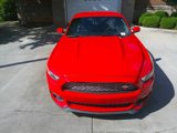 Used 2016 Ford Mustang Premium w/ Equipment Group 201A image 3