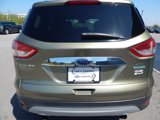 Used 2013 Ford Escape SEL image 3