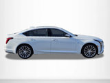 New 2025 Cadillac CT5 Premium Luxury image 4
