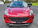 Used 2022 Ford Escape SE w/ Convenience Package image 5