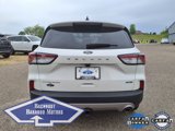 Used 2022 Ford Escape Titanium w/ Titanium Elite Package image 4