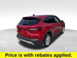 Used 2025 Ford Escape Active w/ Cold Weather Package image 3