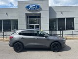 Used 2022 Ford Escape SE image 2