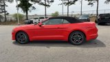 Used 2023 Ford Mustang Premium image 5