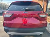 Certified 2022 Ford Escape SEL w/ Technology Package image 3