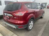 Used 2013 Ford Escape SEL image 4