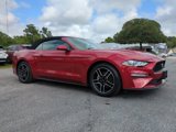Used 2023 Ford Mustang Premium image 2