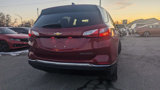 Used 2019 Chevrolet Equinox LT image 5