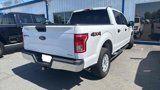 Used 2016 Ford F150 XLT image 5