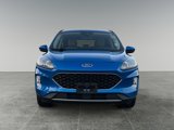 Used 2020 Ford Escape SEL image 2