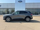 Used 2022 Ford Escape SE w/ Cold Weather Package image 2