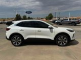 New 2024 Ford Escape Platinum w/ Premium Technology Package image 4