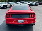Used 2019 Ford Mustang Premium w/ Black Accent Package image 5