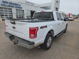 Used 2017 Ford F150 XLT w/ Equipment Group 302A Luxury image 5