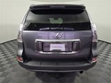 Used 2017 Lexus GX 460 Luxury image 6